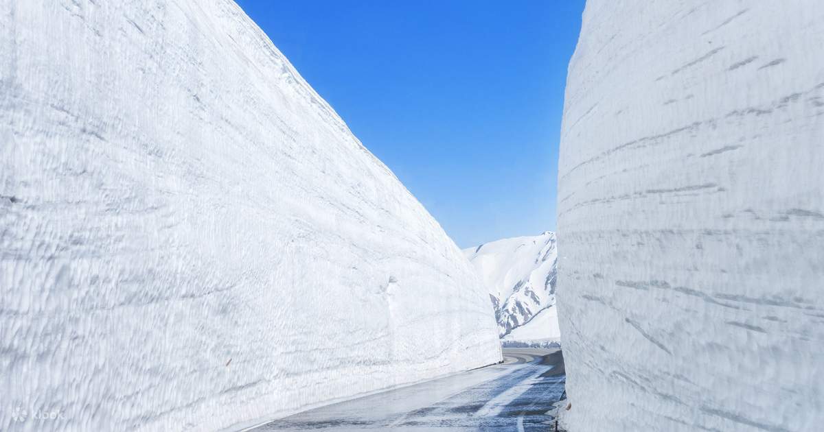 黒部立山雪の壁 2泊3日 |富士山×